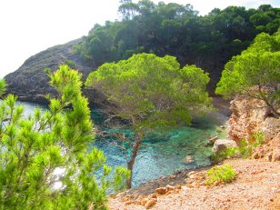 Mallorca Sille_6471 · © Silke Krohn